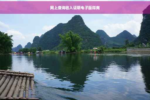 网上查询收入证明电子版指南