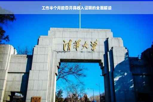 工作半个月能否开具收入证明的全面解读