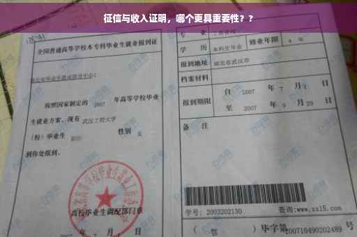征信与收入证明，哪个更具重要性？?