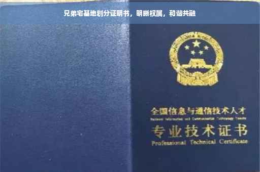 兄弟宅基地划分证明书，明晰权属，和谐共融