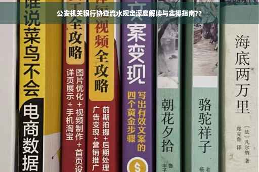公安机关银行协查流水规定深度解读与实操指南??