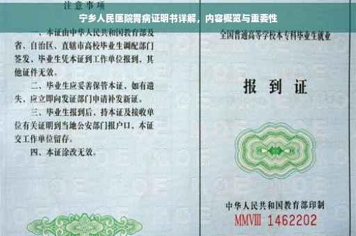 宁乡人民医院胃病证明书详解，内容概览与重要性