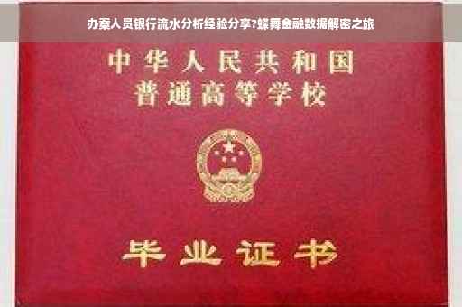 办案人员银行流水分析经验分享?蝶舞金融数据解密之旅