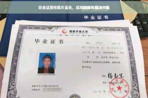 毕业证原件照片丢失，应对策略与解决方案