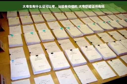 大专生有什么证可以考，比较有价值的,大专职称证书有吗