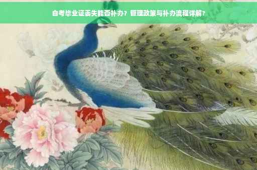 自考毕业证丢失能否补办？管理政策与补办流程详解?