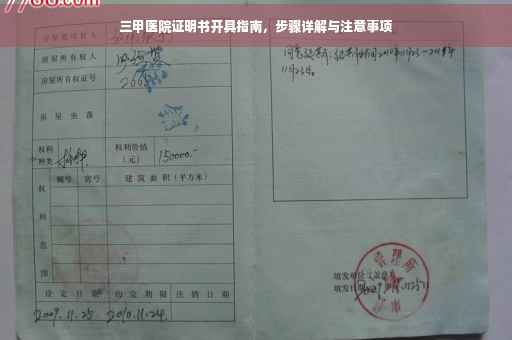 三甲医院证明书开具指南，步骤详解与注意事项