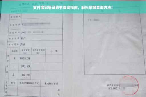支付宝犯罪证明书查询指南，轻松掌握查询方法！