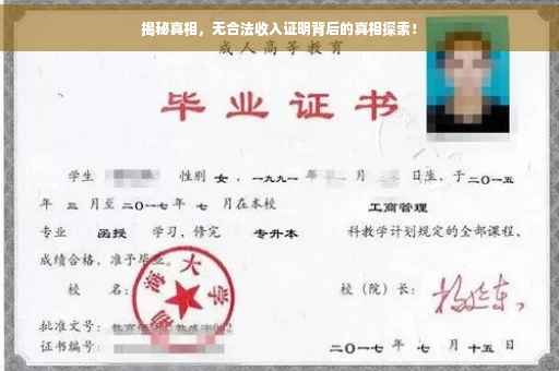 揭秘真相，无合法收入证明背后的真相探索！