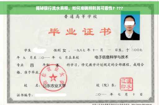 揭秘银行流水真相，如何准确辨别其可靠性？???
