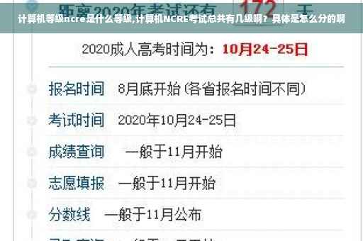 计算机等级ncre是什么等级,计算机NCRE考试总共有几级啊？具体是怎么分的啊