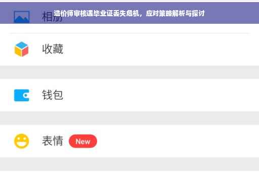 造价师审核遇毕业证丢失危机，应对策略解析与探讨