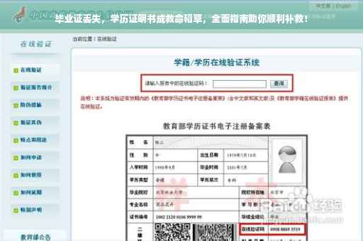 毕业证丢失，学历证明书成救命稻草，全面指南助你顺利补救！