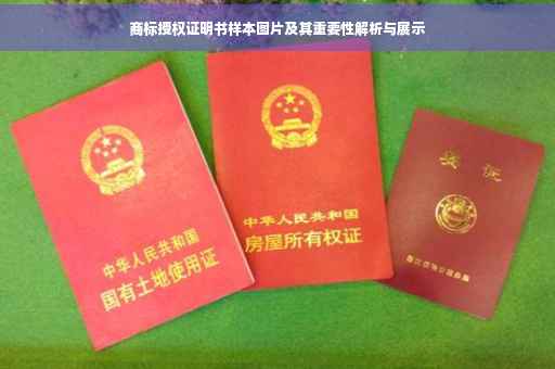 商标授权证明书样本图片及其重要性解析与展示