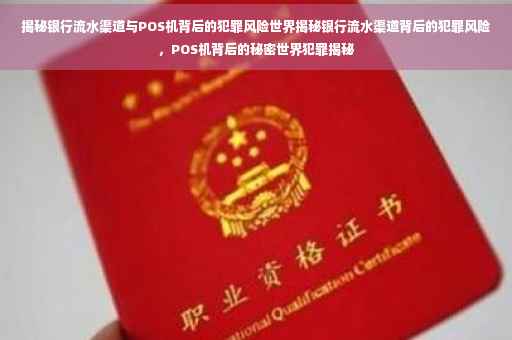 揭秘银行流水渠道与POS机背后的犯罪风险世界揭秘银行流水渠道背后的犯罪风险，POS机背后的秘密世界犯罪揭秘