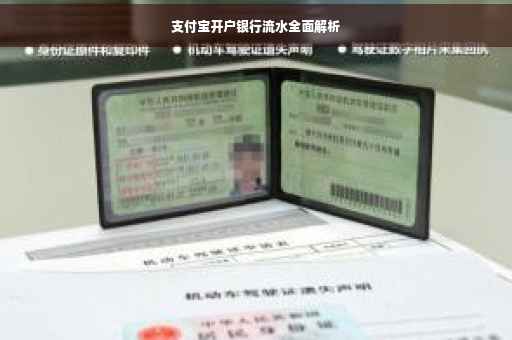 支付宝开户银行流水全面解析