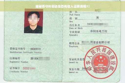 揭秘看守所劳动是否有收入证明真相?✨
