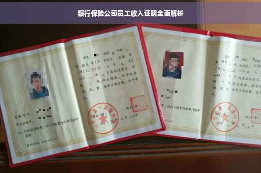 银行保险公司员工收入证明全面解析