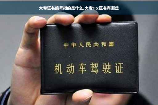 大专证书编号指的是什么,大专1 x证书有哪些