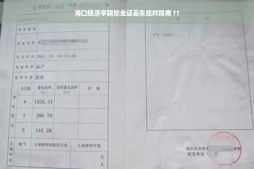 海口经济学院毕业证丢失应对指南 ??