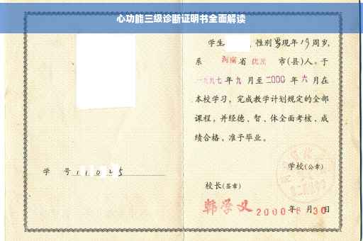 心功能三级诊断证明书全面解读
