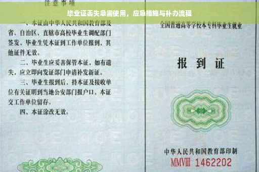 毕业证丢失急需使用，应急措施与补办流程