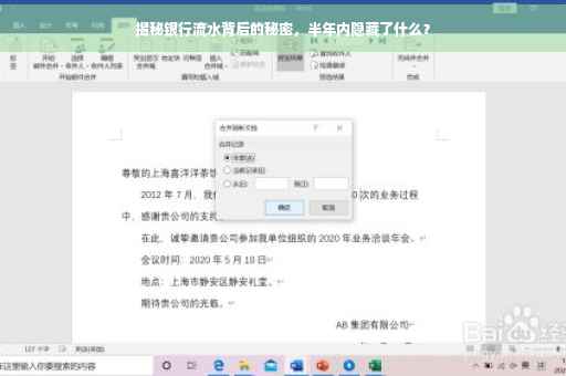 揭秘银行流水背后的秘密，半年内隐藏了什么？
