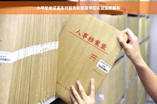 小学毕业证丢失对报名影响及学历认证深度解析