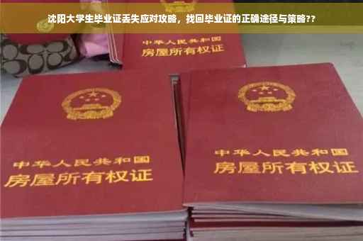 沈阳大学生毕业证丢失应对攻略，找回毕业证的正确途径与策略??