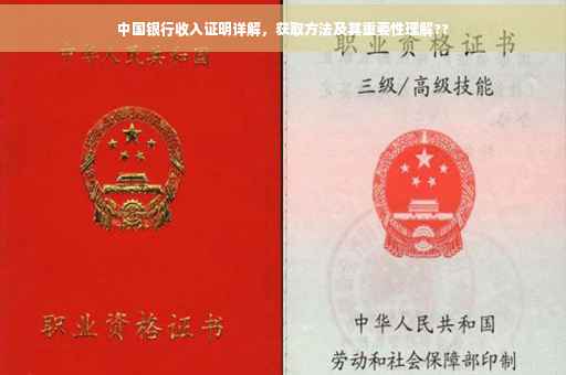 中国银行收入证明详解，获取方法及其重要性理解??