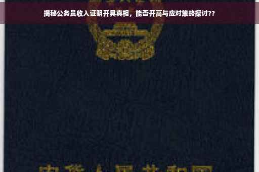 揭秘公务员收入证明开具真相，能否开高与应对策略探讨??