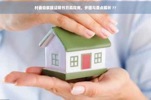 村委会家属证明书开具指南，步骤与要点解析 ??