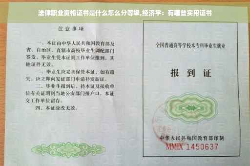 法律职业资格证书是什么怎么分等级,经济学：有哪些实用证书