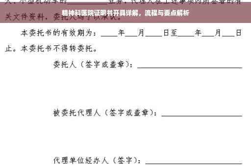精神科医院证明书开具详解，流程与要点解析