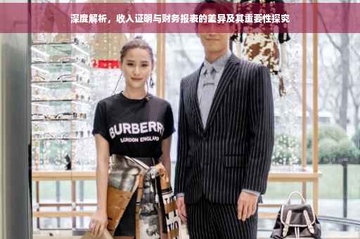 深度解析，收入证明与财务报表的差异及其重要性探究
