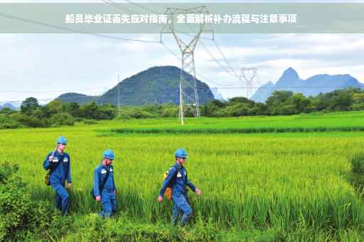 船员毕业证丢失应对指南，全面解析补办流程与注意事项