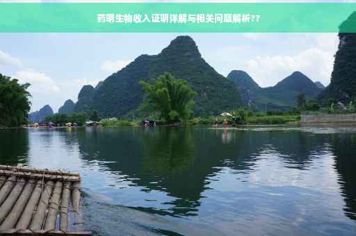 药明生物收入证明详解与相关问题解析??