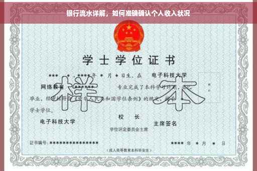 银行流水详解，如何准确确认个人收入状况