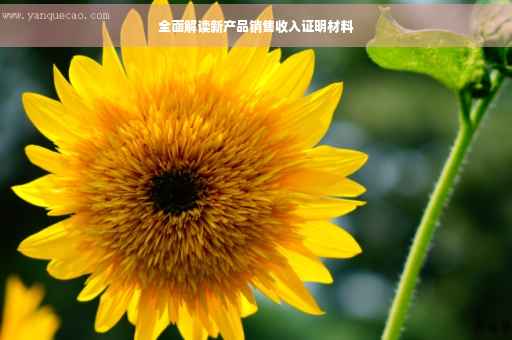 全面解读新产品销售收入证明材料