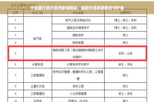 宁波银行流水真伪查询网站，金融交易透明度的守护者