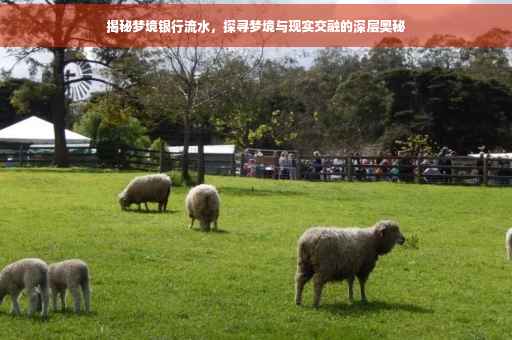 揭秘梦境银行流水，探寻梦境与现实交融的深层奥秘