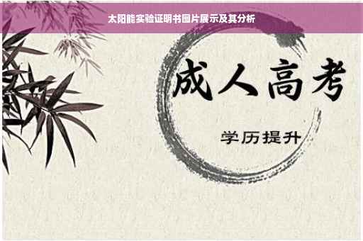 太阳能实验证明书图片展示及其分析