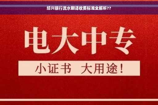 绍兴银行流水翻译收费标准全解析??