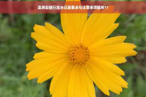 卖房后银行流水记录要点与注意事项解析??