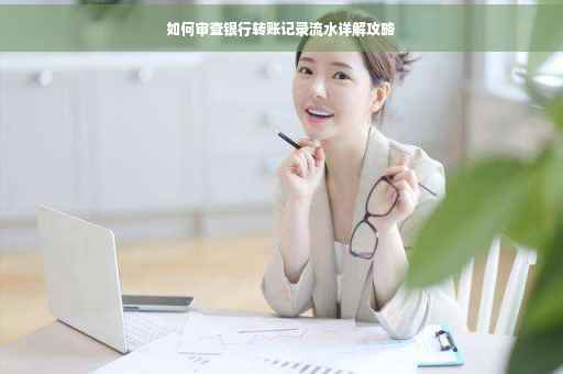 如何审查银行转账记录流水详解攻略