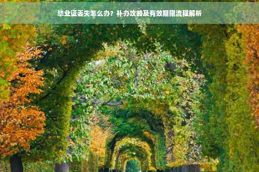毕业证丢失怎么办？补办攻略及有效期限流程解析