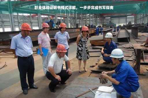 职业体验证明书格式详解，一步步完成书写指南