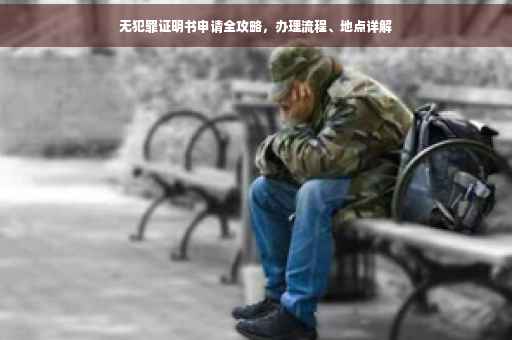 无犯罪证明书申请全攻略，办理流程、地点详解