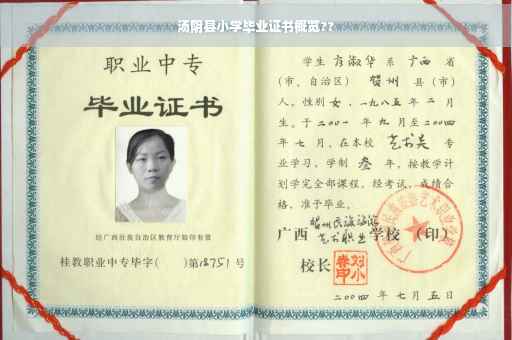 汤阴县小学毕业证书概览??