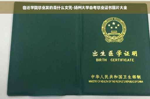 宿迁学院毕业发的是什么文凭-扬州大学自考毕业证书图片大全